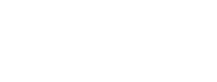 king penguin